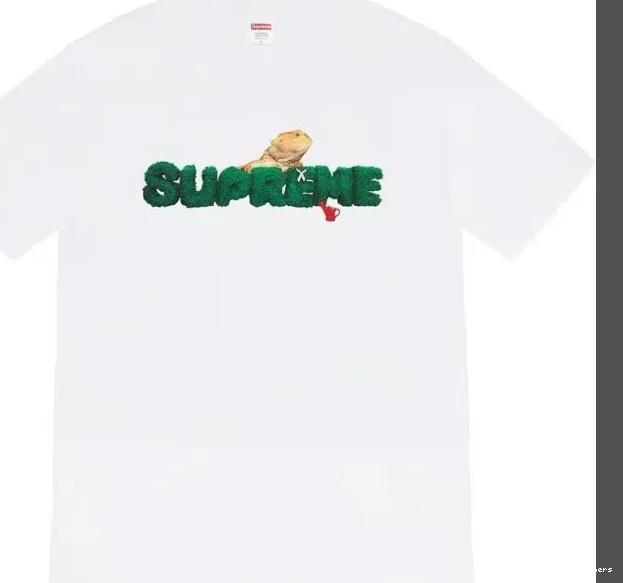 Black T-shirt XL Short Lizard 20SS Plant M Environmental White Tee Green Logo S sleeved L 0819